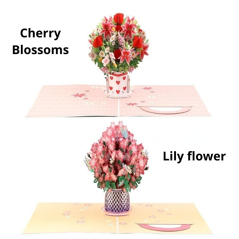 Preview /695d06c2c8cce60009ceca02/2026/01/29/product-img-697aedb56f539c4f6d5f241f.png