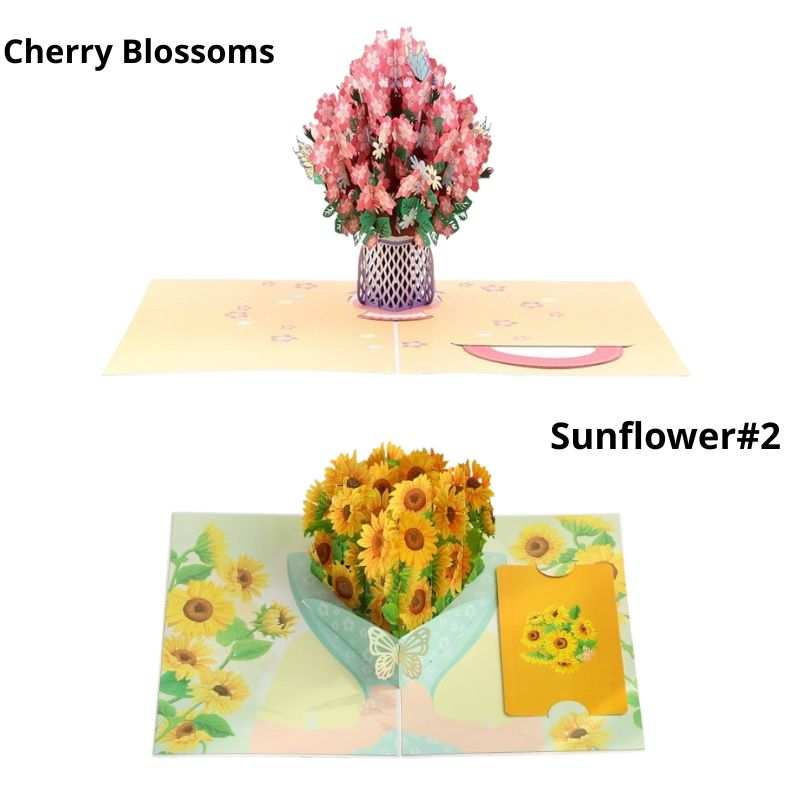 Preview /695d06c2c8cce60009ceca02/2026/01/29/product-img-697aedb56f539c4f6d5f2424.png
