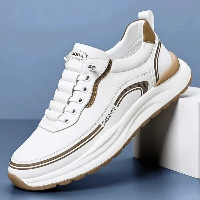 /695d06c2c8cce60009ceca02/2026/05/01/product-img-69f4aa79f3feac0736a9c156.png
